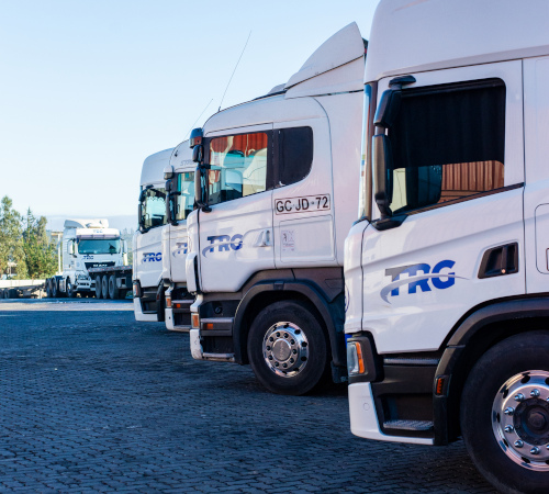 Eficiencia Operacional y *Calidad del Servicio.*